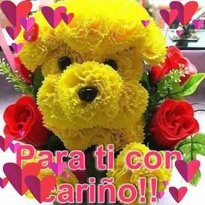 Meet your Posher, Cecy